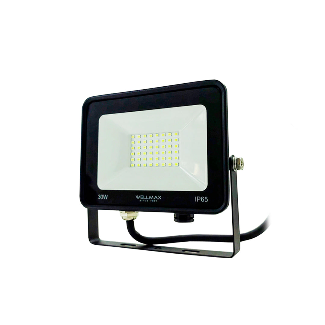 Proyector LED 30W Exterior Wellmax - Luz Fría (Samsung LED)