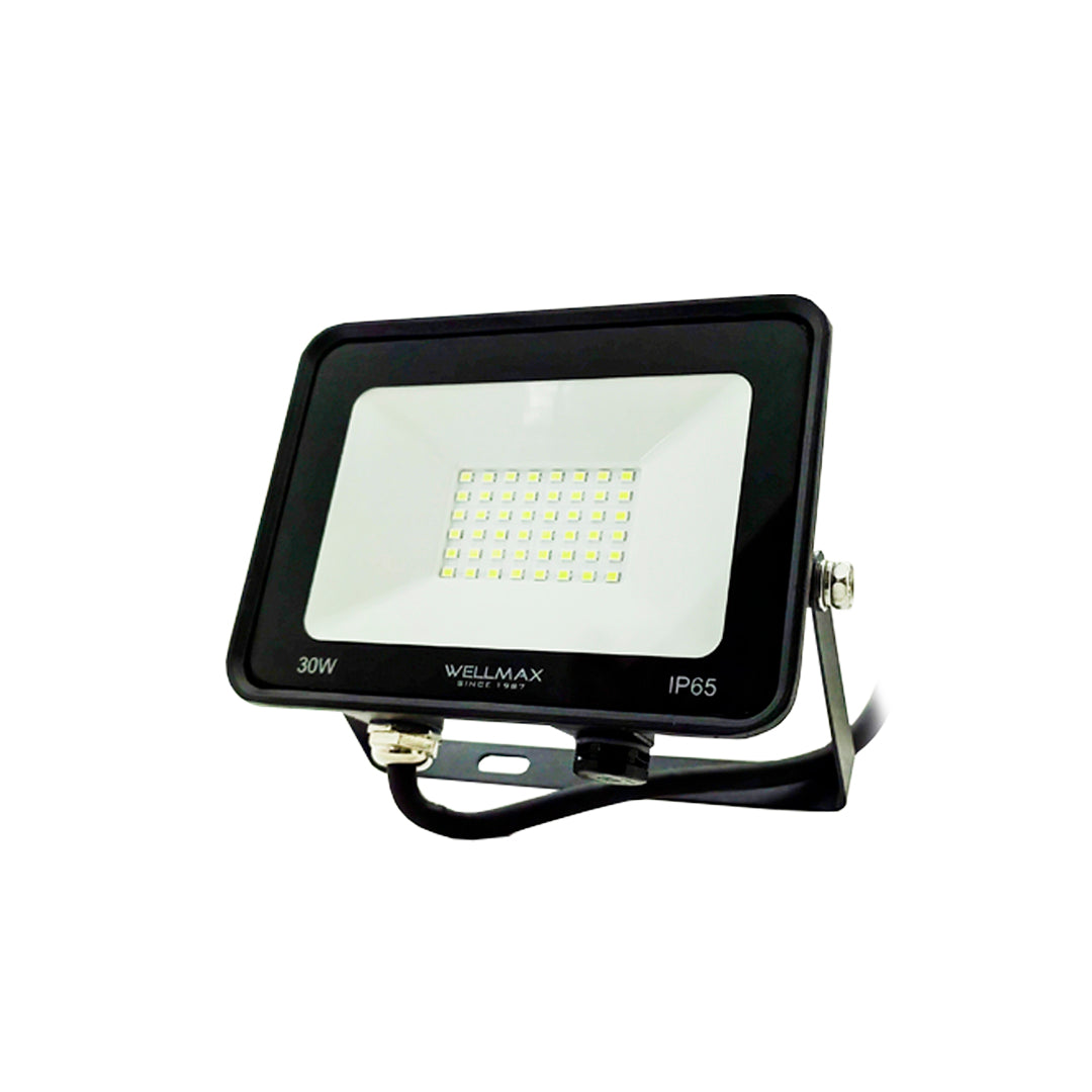 Proyector LED 30W Exterior Wellmax - Luz Fría (Samsung LED)
